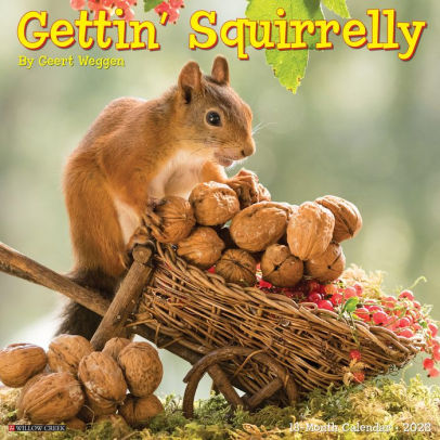 Getting Squirrelly 2023 Wall Calendar - Willow Creek Press 9781549226045_d3231aab-e2c1-4e24-95e5-8e2eb7b870c6