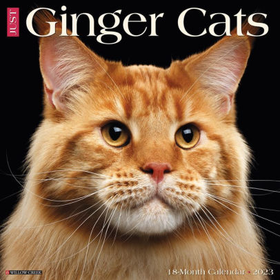 Ginger Cats 2023 Wall Calendar - Willow Creek Press 9781549226052_f76145ff-9567-43cd-bed2-f95503a9d66e