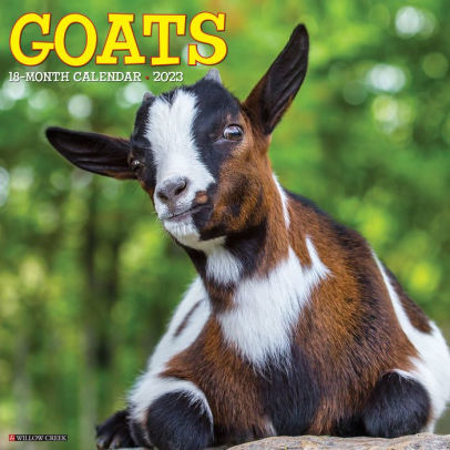Goats 2023 Wall Calendar - Willow Creek Press 9781549226076_89db69a3-4370-4bbf-9a95-fb55fe50d48b