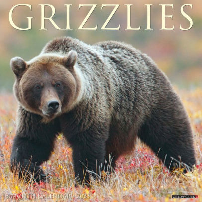 Grizzlies 2023 Wall Calendar - Willow Creek Press 9781549226229_7e1e99e8-a243-4099-af1d-fa89219a2975
