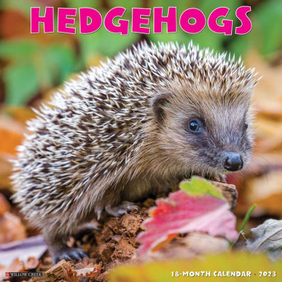 Hedgehogs 2023 Wall Calendar - Willow Creek Press 9781549226298_91efdad2-fd6b-40be-9ed2-1184ebb19a95