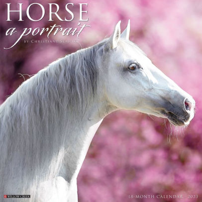 Horse: A Portrait 2023 Wall Calendar - Willow Creek Press 9781549226366_c7bdbf43-0339-4f0a-a206-7bb8ecae0a38