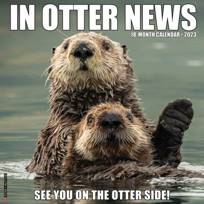 In Otter News 2023 Wall Calendar - Willow Creek Press 9781549226434_ec27887c-634d-42d1-b749-2686312f723b