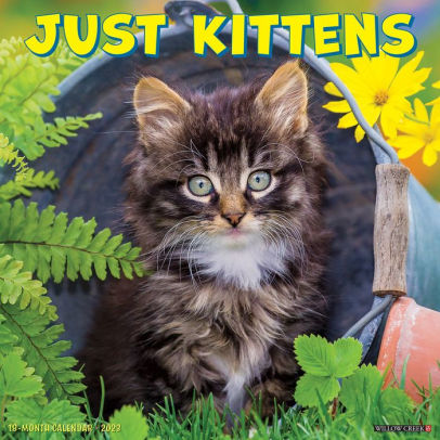 Just Kittens 2023 Wall Calendar - Willow Creek Press 9781549226557_71d7346f-37f5-4d88-8fd1-42c39e971005