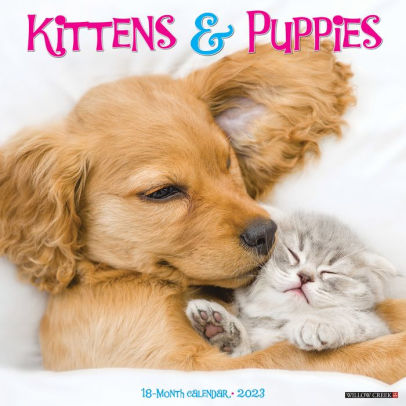 Kittens & Puppies 2023 Wall Calendar - Willow Creek Press 9781549226564_a3d57dc8-74f1-438f-b3a7-7d7eb3628377