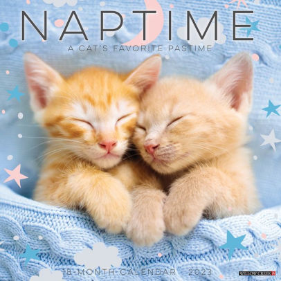 Naptime: A Cat's Favorite Pastime 2023 Wall Calendar - Willow Creek Press 9781549226922_3226f70e-e637-4826-ab35-de91b4961fb9