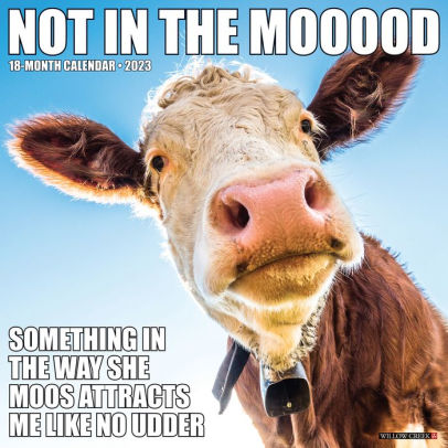 Not In The Mooood 2023 Wall Calendar - Willow Creek Press 9781549227059_868e22b1-5b87-40e4-bac1-5fe60bb10e7a