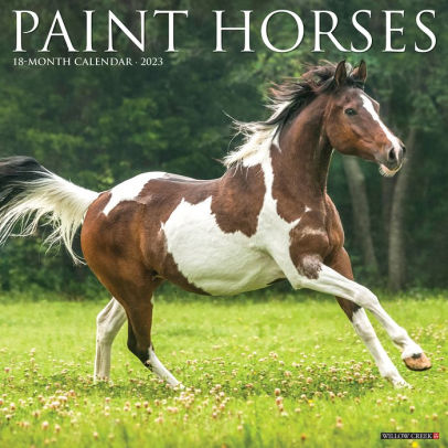 Paint Horses 2023 Wall Calendar - Willow Creek Press 9781549227134_f0b54b66-eff7-4f5b-9dac-5389ecd833dc