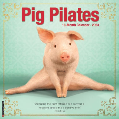 Pig Pilates 2023 Wall Calendar - Willow Creek Press 9781549227240_b4079f7a-f09f-4fc1-bd53-ec143647650f