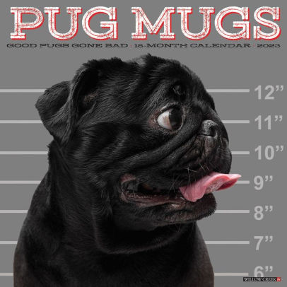 Pug Mugs 2023 Wall Calendar 9781549227332_1dc73f23-1dec-4942-bea8-aaad811570a4