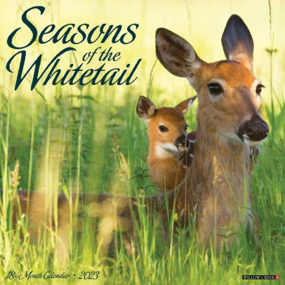 Seasons Of The Whitetail 2023 Wall Calendar - Willow Creek Press 9781549227592_f3668031-82bc-4238-bc93-330e20f0499e