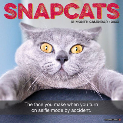Snapcats 2023 Wall Calendar - Willow Creek Press 9781549227752_e1f22d56-b765-48b8-81af-7c7d0d388ea3