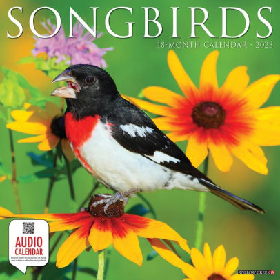 Songirds 2023 Wall Calendar - Willow Creek Press 9781549227776_5ac49894-61c2-4416-ab08-a355d255b7f4
