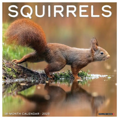 Squirrels 2023 Wall Calendar - Willow Creek Press 9781549227806_b7a1788e-85f3-4cc2-87ea-4d42023ae869