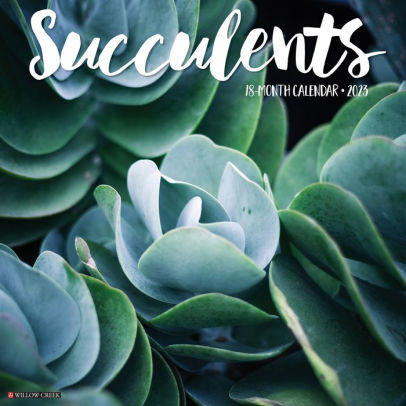 Succulents 2023 Wall Calendar - Willow Creek Press 9781549227813_b8036df6-5f2b-4289-9e83-6a129aca088c