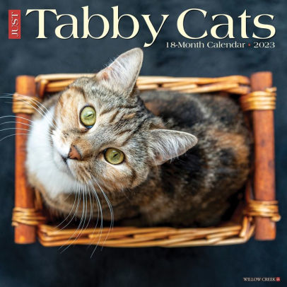 Just Tabby Cats 2023 Wall Calendar - Willow Creek Press 9781549227844_d12a043e-11f0-4780-a7d6-b69009111cad