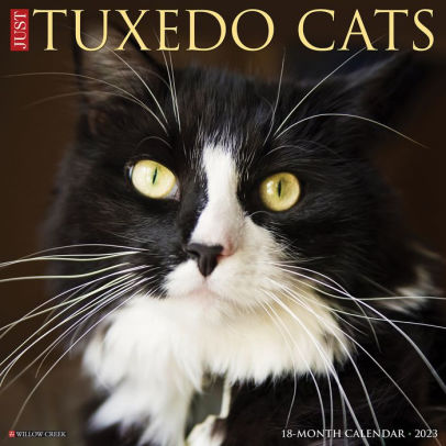Just Tuxedo Cats 2023 Wall Calendar - Willow Creek Press 9781549227950_947fd1fe-33f9-4b3a-a5e6-fc07e784ec64
