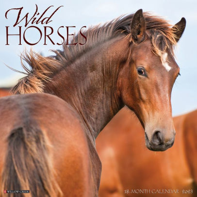 Wild Horses 2023 Wall Calendar - Willow Creek Press 9781549228247_149fac3b-c8fc-4374-a981-f7ec7e89cdf4