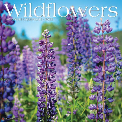 Wildflowers 2023 Wall Calendar - Willow Creek Press 9781549228254_2412f1e7-d734-427e-b1e7-b12dbd969c01
