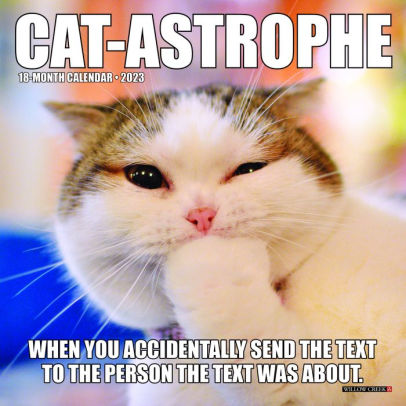 Cat-Astrophe 2023 Mini Wall Calendar - Willow Creek Press 9781549228414_0cbecb9c-a970-4c9c-a807-2d469b062512
