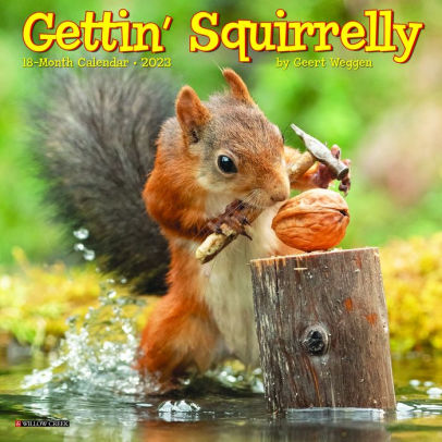 Gettin' Squirrelly 2023 Mini Wall Calendar - Willow Creek Press 9781549228483_9f8d6039-10ab-40f7-82d9-82aaa56b1573