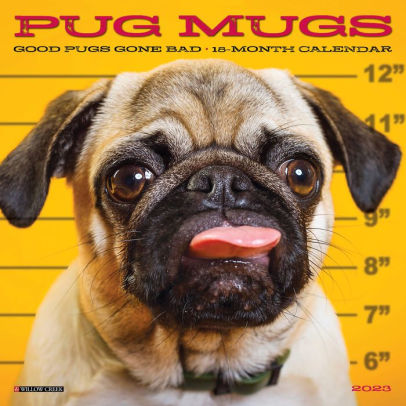Pug Mugs 2023 Mini Wall Calend 9781549228599_4a37036c-79ec-43e6-b58b-7f684653b590