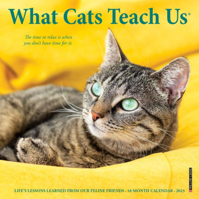 What Cats Teach Us 2023 Mini Wall Calendar - Willow Creek Press 9781549228650_4bcbf0f0-54c5-47b0-a4d6-23a7ba306dd7