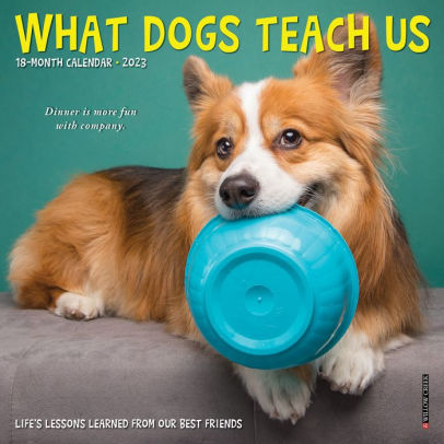 What Dogs Teach Us 2023 Mini Wall Calendar - Willow Creek Press 9781549228667_0484f73d-bb74-4181-8fa1-5850058901d4