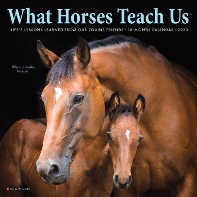 What Horses Teach Us 2023 Mini Wall Calendar - Willow Creek Press 9781549228674_8d7b9881-2448-4c84-8058-85f66b5e0993