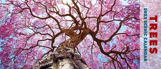 Trees Panoramic 2023 Wall Calendar - Willow Creek Press 9781549229350_ca72c6d3-80f5-4700-ad81-544a459333d1