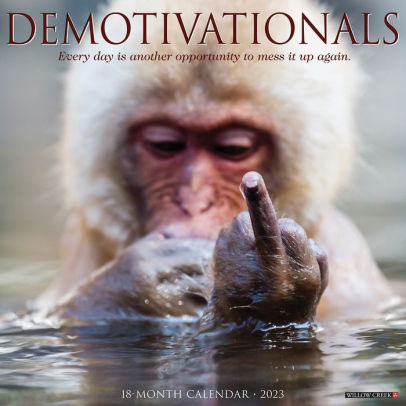 Demotivationals 2023 Wall Calendar - Willow Creek Press 9781549229831_3ea419b7-2df0-4145-aee8-278431a19a59