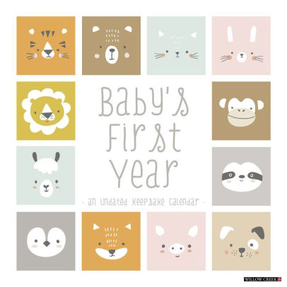 Baby's First Year Undated Wall Calendar - Willow Creek Press 9781549237645