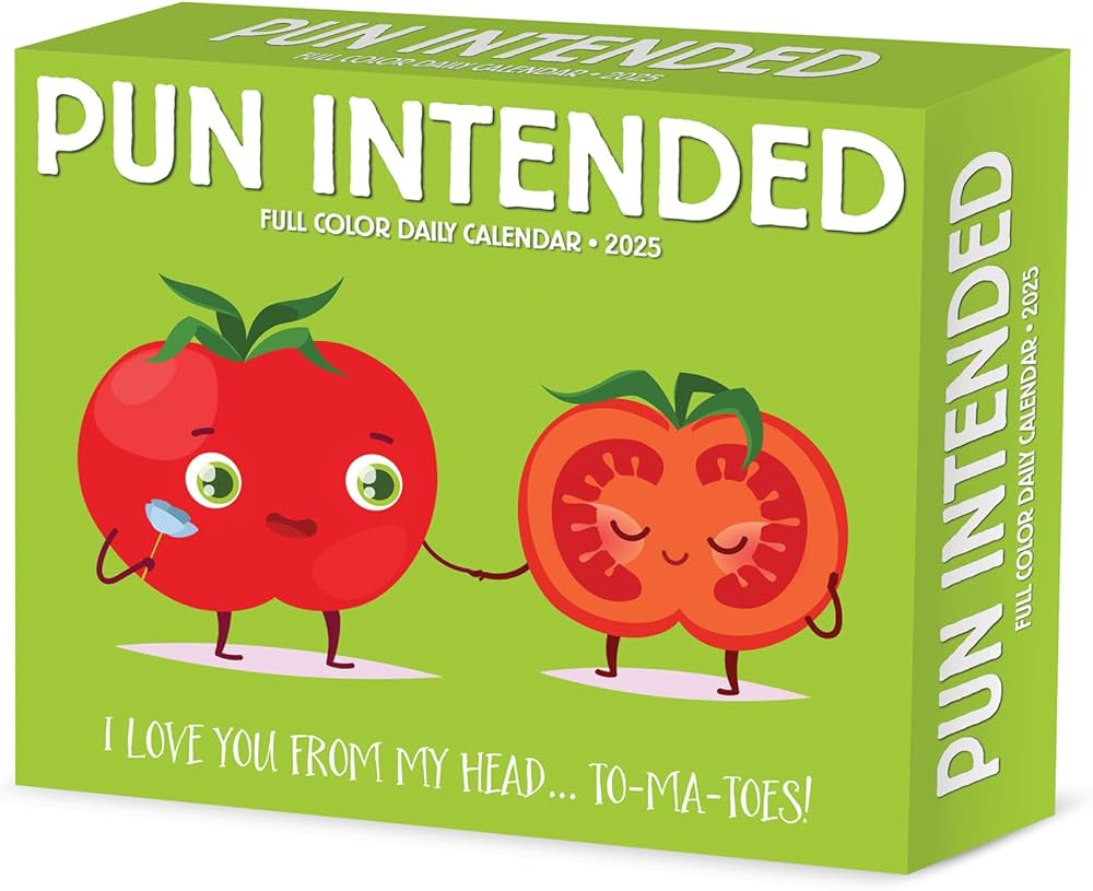 Pun Intended 2025 Box Calendar - Willow Creek Press 9781549241000