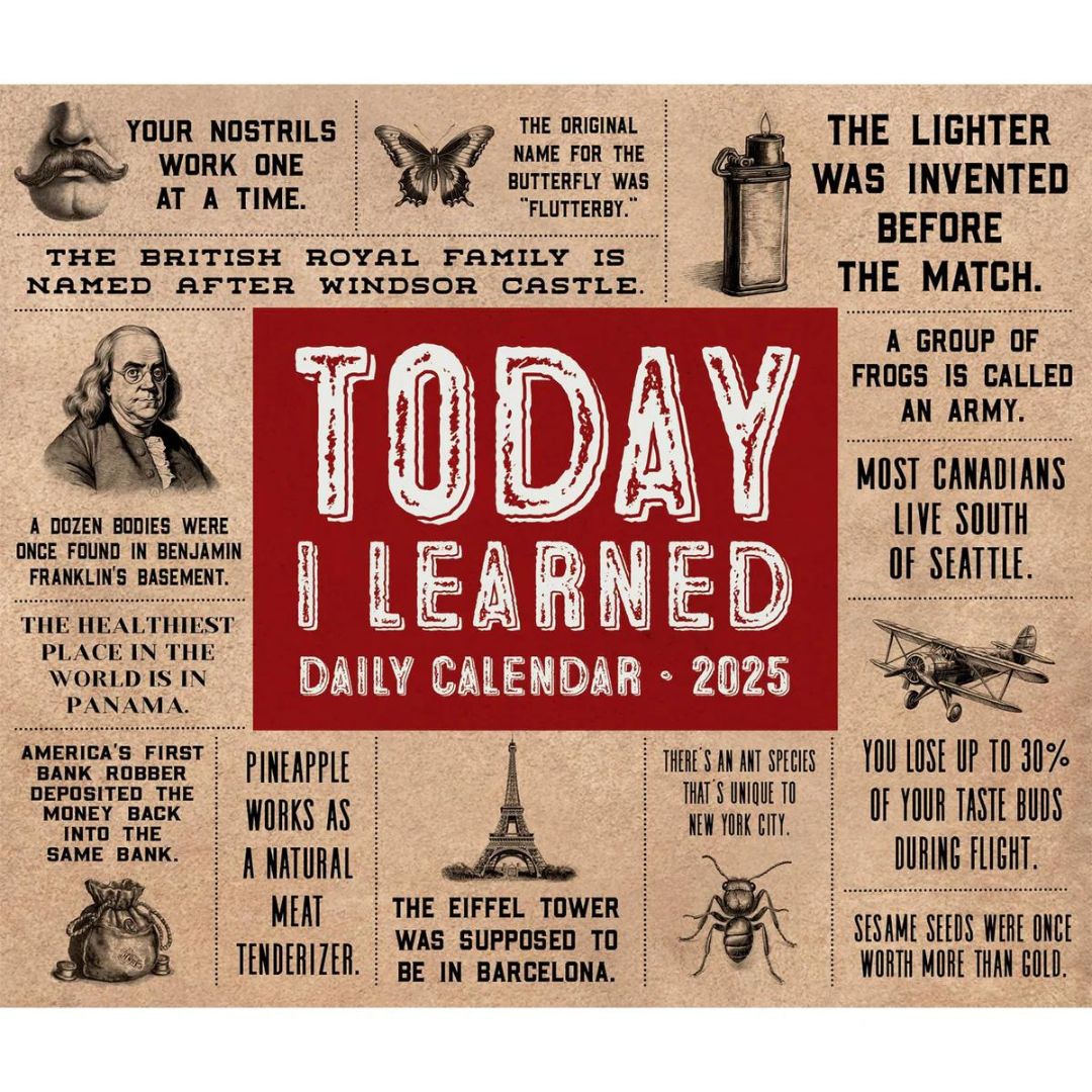 Today I Learned (Til) 2025 Box Calendar - Willow Creek Press 9781549241055