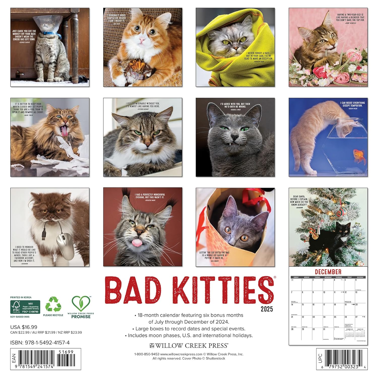 Bad Kitties 2025 Wall Calendar - Willow Creek Press 9781549241574_1