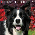 Border Collies 2025 Wall Calendar - Willow Creek Press 9781549241895