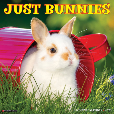 Bunnies 2025 Wall Calendar - Willow Creek Press 9781549242045