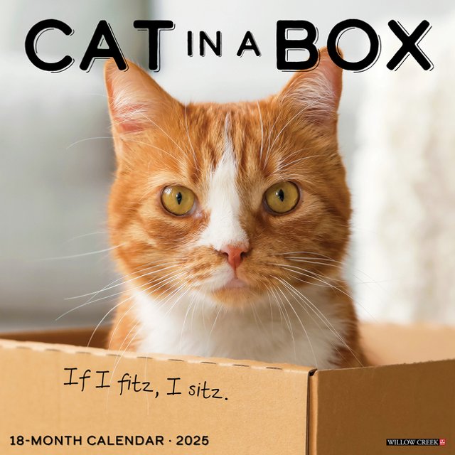 Cat In A Box 2025 Wall Calendar - Willow Creek Press 9781549242182