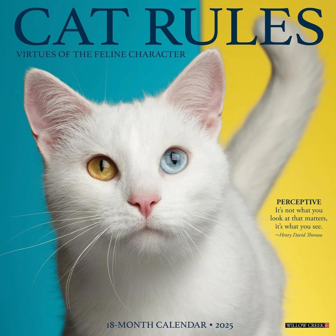 Cat Rules 2025 Wall Calendar - Willow Creek Press 9781549242199