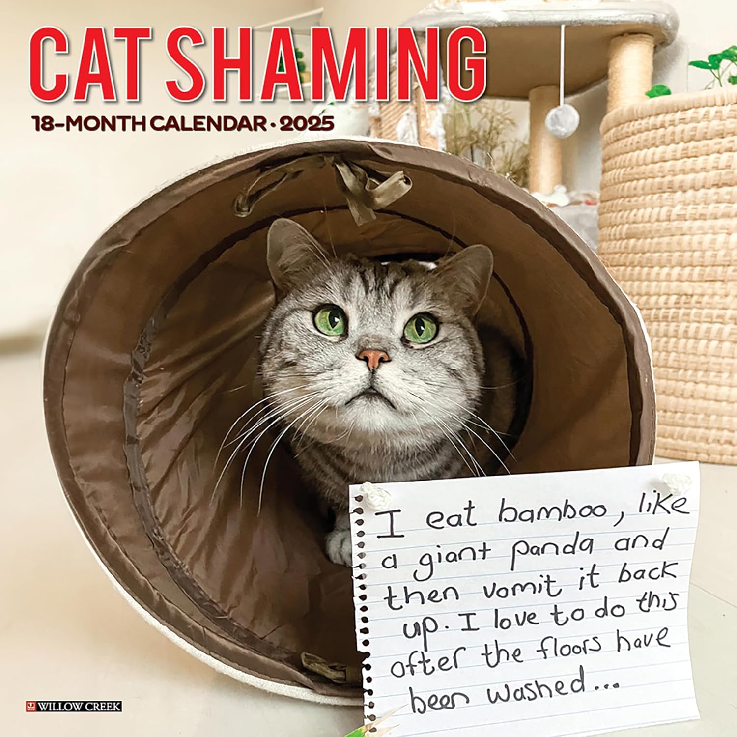 Cat Shaming 2025 Wall Calendar - Willow Creek Press 9781549242205