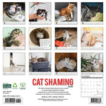 Cat Shaming 2025 Wall Calendar - Willow Creek Press 9781549242205_1