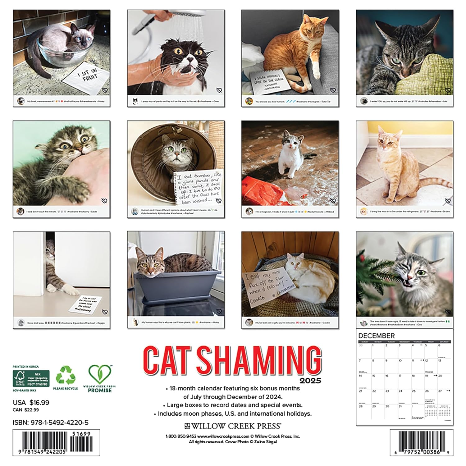 Cat Shaming 2025 Wall Calendar - Willow Creek Press 9781549242205_1