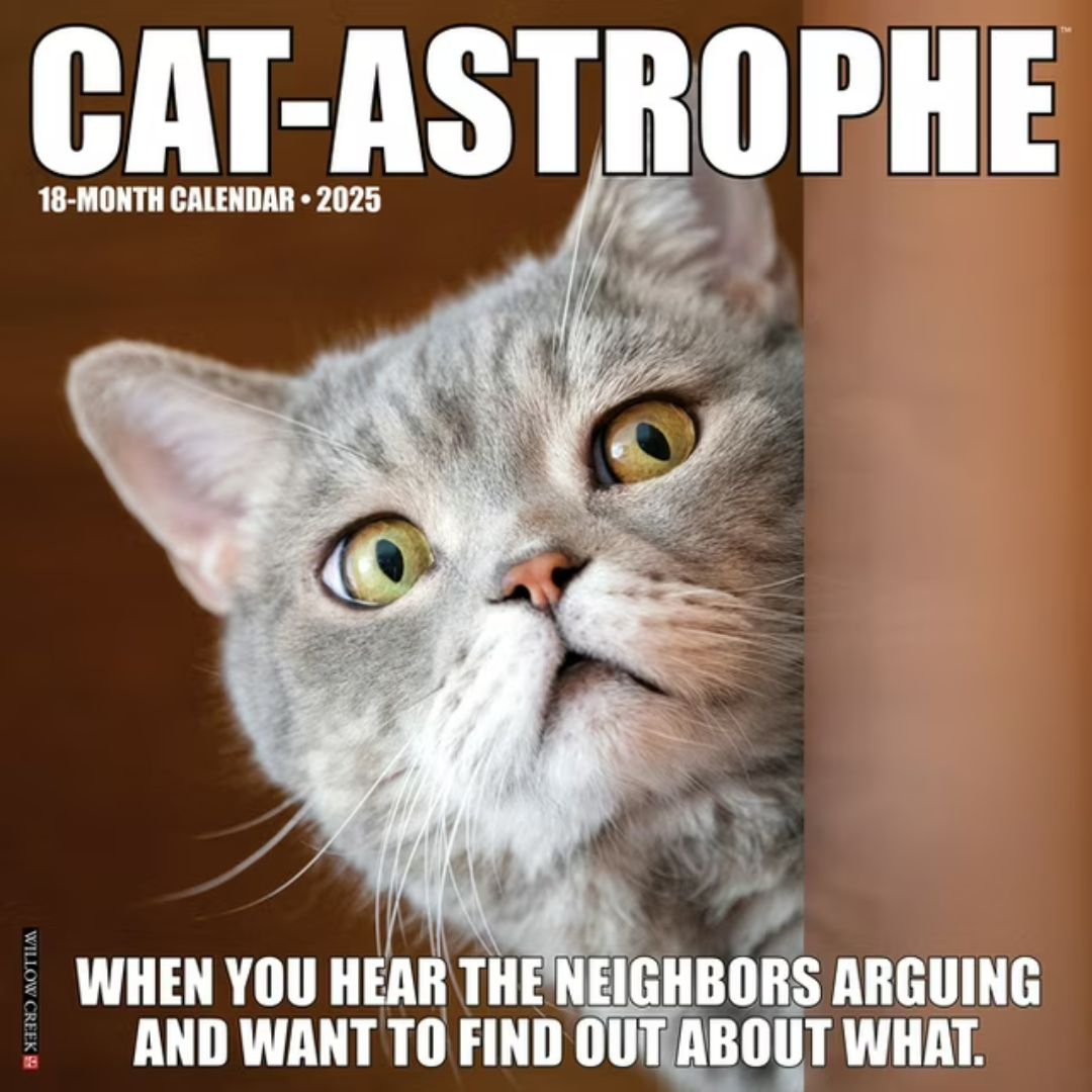 Cat-Astrophe 2025 Wall Calendar - Willow Creek Press 9781549242212