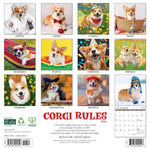 Corgi Rules 2025 Wall Calendar - Willow Creek Press 9781549242557_1
