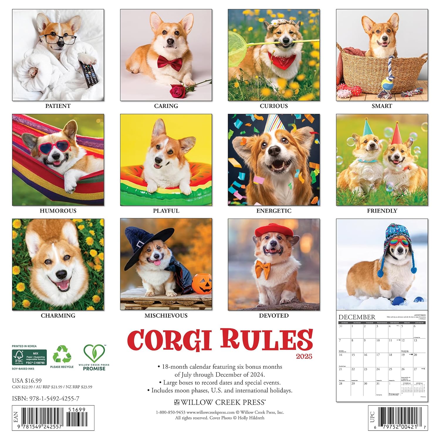 Corgi Rules 2025 Wall Calendar - Willow Creek Press 9781549242557_1