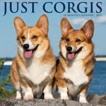 Corgis 2025 Wall Calendar - Willow Creek Press 9781549242564