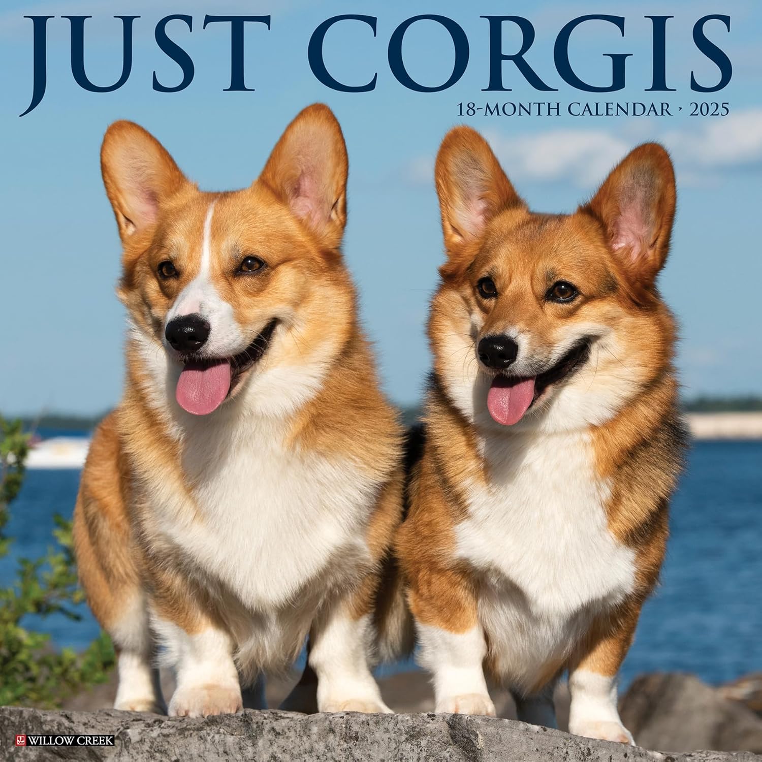 Corgis 2025 Wall Calendar - Willow Creek Press 9781549242564