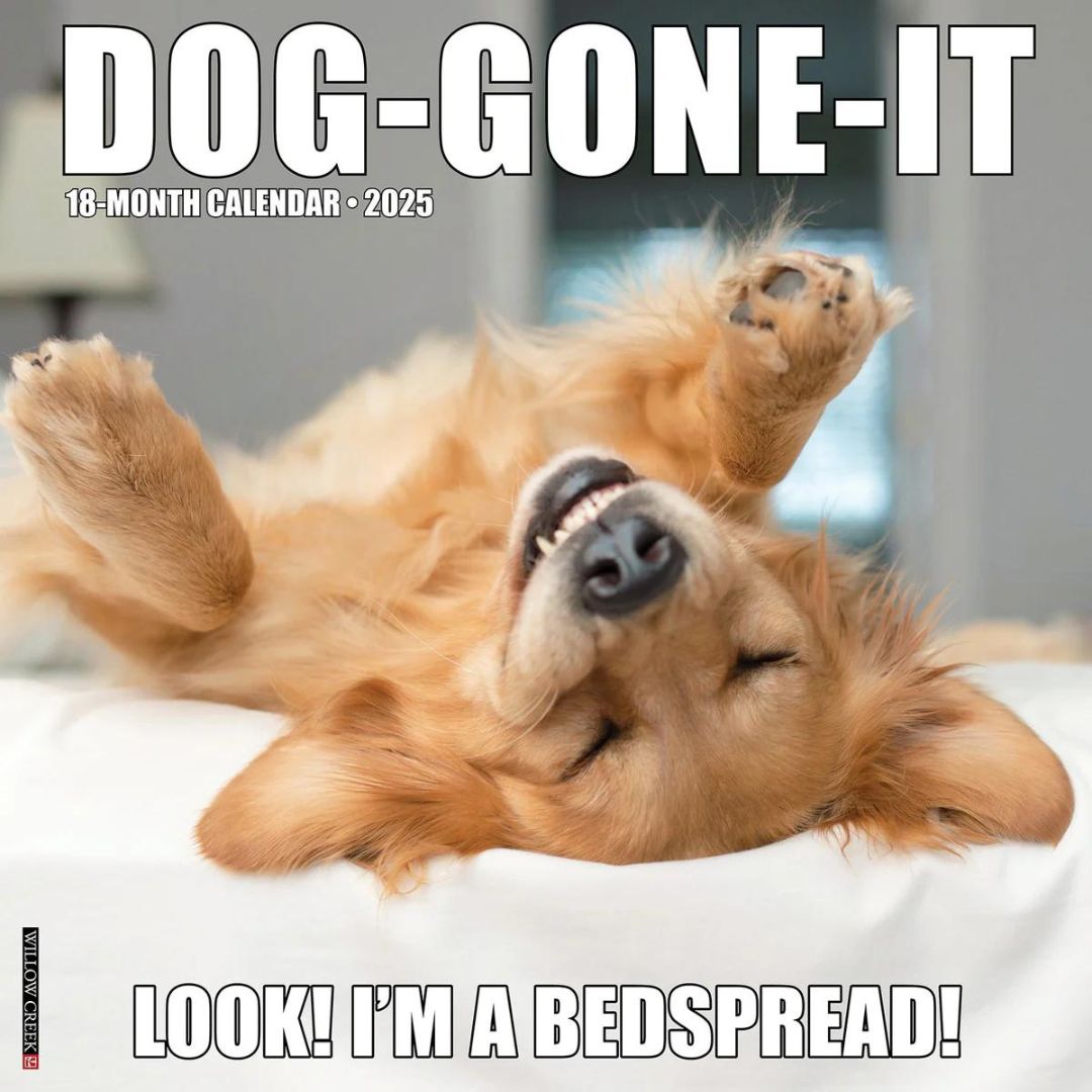Dog-Gone-It 2025 Wall Calendar - Willow Creek Press 9781549242724