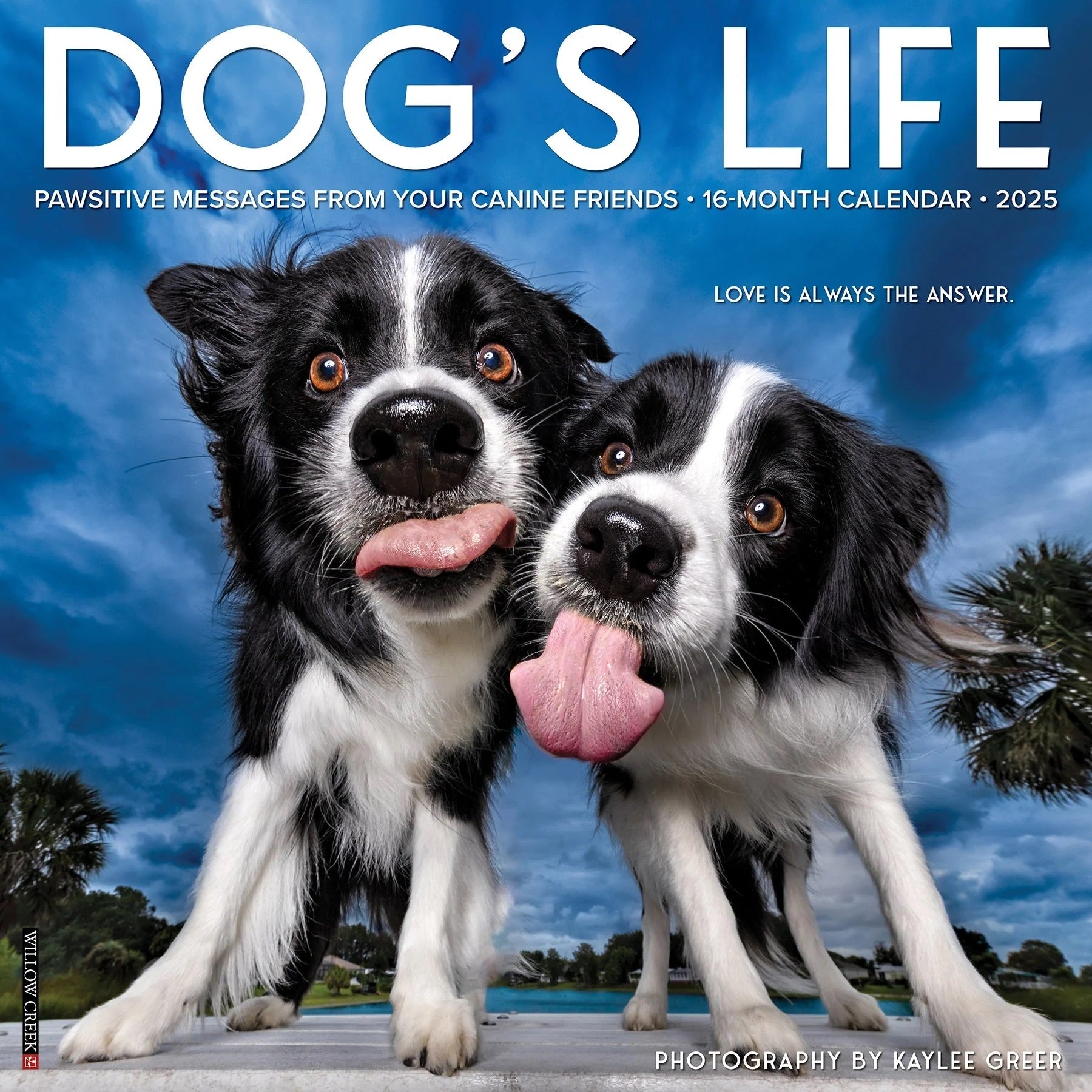 Dog's Life 2025 Wall Calendar - Willow Creek Press 9781549242731
