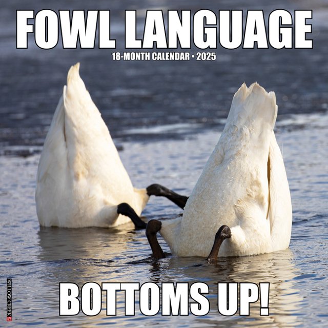 Fowl Language 2025 Wall Calendar - Willow Creek Press 9781549242922